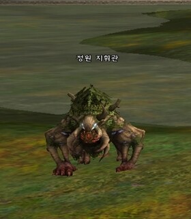 정원 지휘관