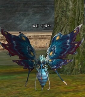 정원 정찰자