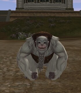 미궁 예티